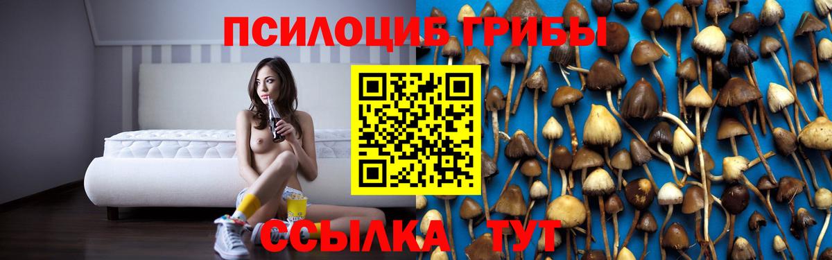 Галлюциногенные грибы Cubensis  закладки  Барнаул  Галлюциногенные грибы мухоморы  Вход с VPN 